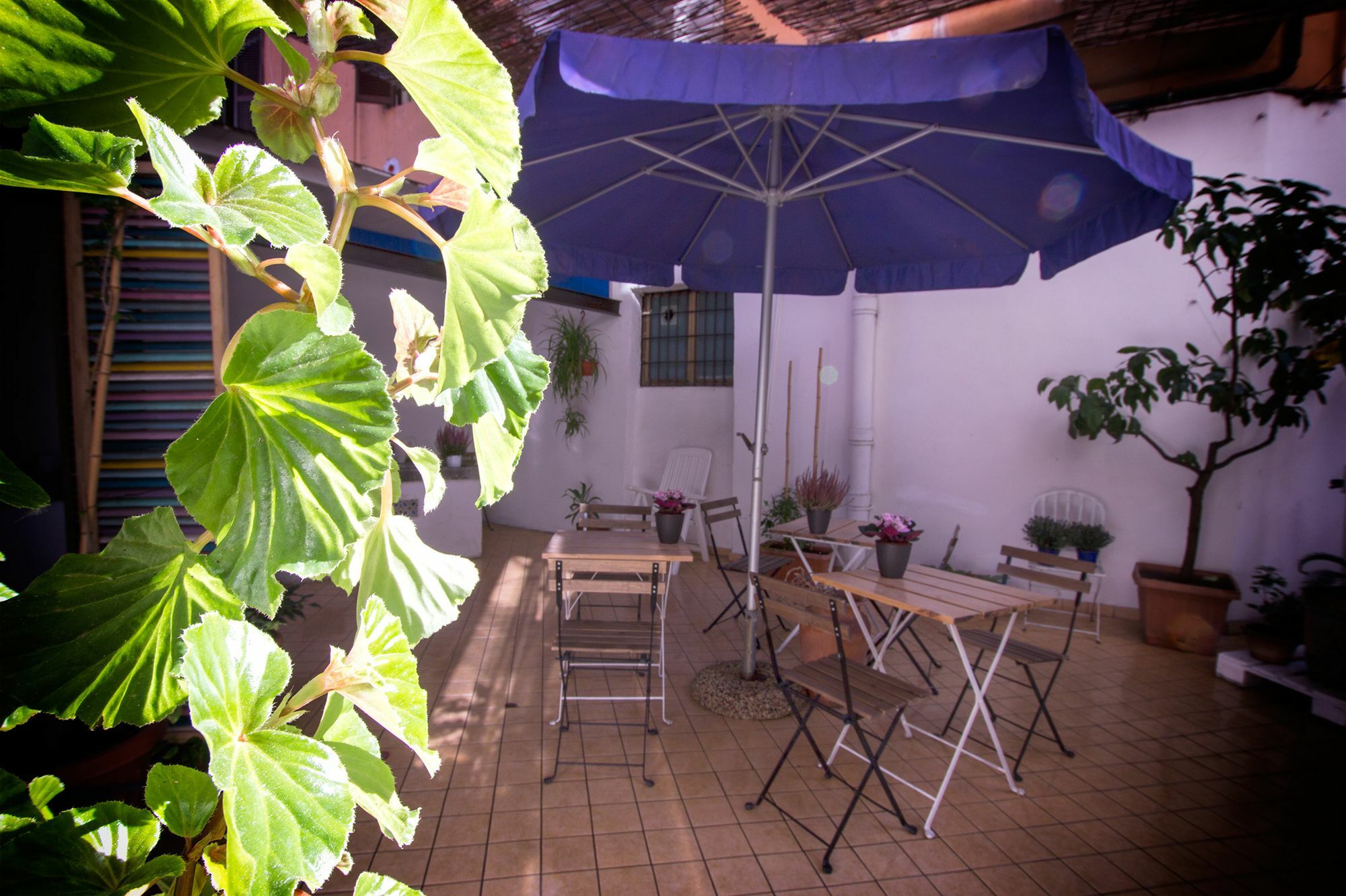 Casa Maplink Hotel Róma Kültér fotó